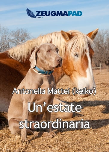 Un'estate straordinaria - Antonella Mattei