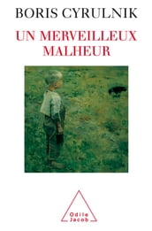 Un merveilleux malheur