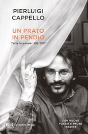 Un prato in pendio