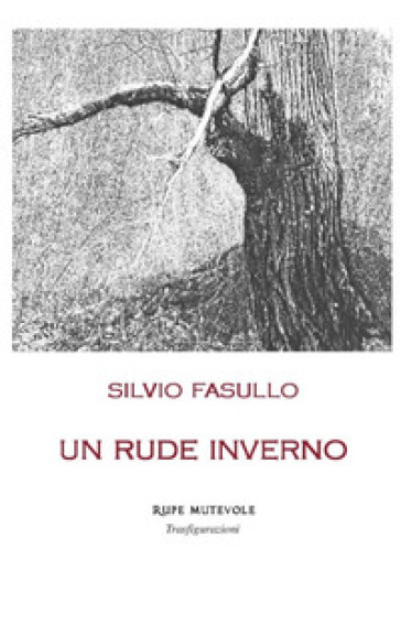 Un rude inverno - Silvio Fasullo