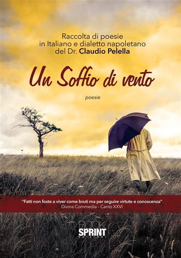 Un soffio di vento - Claudio Pelella