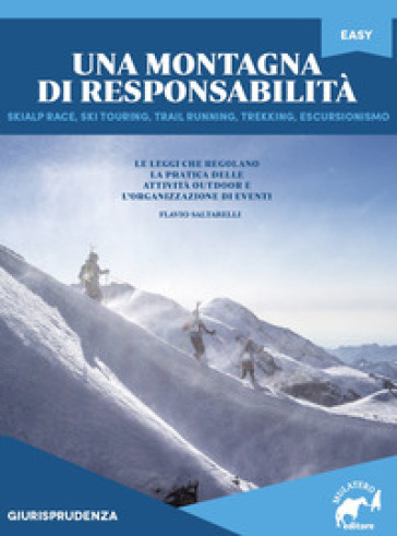 Una montagna di responsabilità - Flavio Saltarelli