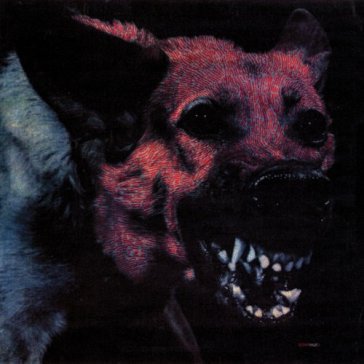 Under color of official right - PROTOMARTYR