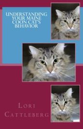 Understanding Your Maine Coon Cat s Behavior