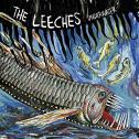Underwater - The Leeches