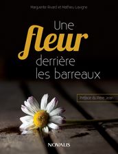 Une fleur derrière les barreaux