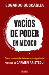 Vacíos de poder en México