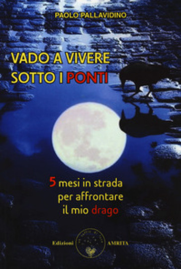 Vado a vivere sotto i ponti. 5 mesi in strada per affrontare il mio drago - Paolo Pallavidino