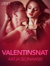 Valentinsnat erotisk novelle