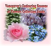 Vancouver s Endearing Seasons of Flowers Collection Guide