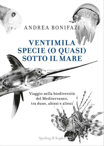 Ventimila specie (o quasi) sotto il mare - Andrea Bonifazi