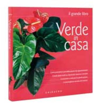 Verde in casa