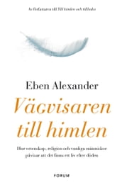 Vägvisaren till himlen : hur vetenskap, religion och vanliga människor pavisar att det finns ett liv efter döden