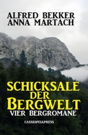 Vier Bergromane: Schicksale in der Bergwelt