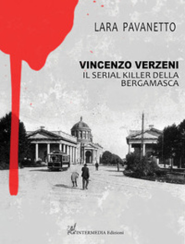 Vincenzo Verzeni. Il serial killer della bergamasca - Lara Pavanetto
