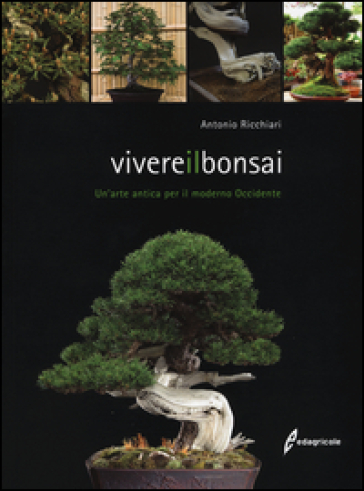 Vivere il bonsai. Un'arte antica per il moderno Occidente. Ediz. illustrata - Antonio Ricchiari