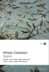 Volario