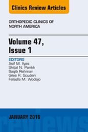 Volume 47, Issue 1, An Issue of Orthopedic Clinics