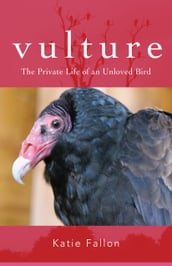 Vulture