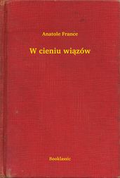 W cieniu wizów