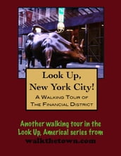 A Walking Tour of New York City s Financial District