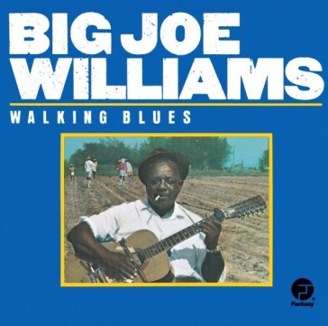 Walking blues - Big Joe Williams