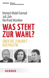 Was steht zur Wahl?