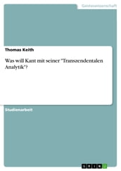 Was will Kant mit seiner  Transzendentalen Analytik ?