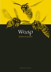 Wasp