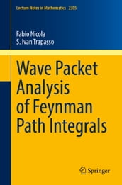 Wave Packet Analysis of Feynman Path Integrals