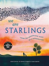 We Are Starlings