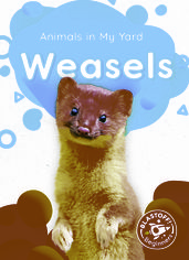 Weasels