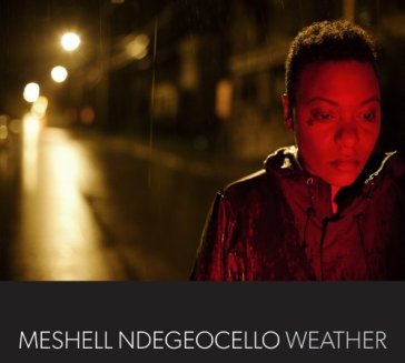 Weather - Meshell Ndegoncello