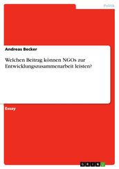 Welchen Beitrag können NGOs zur Entwicklungszusammenarbeit leisten?