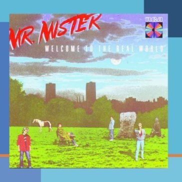 Welcome to the real world - MR MISTER