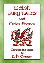 Welsh Fairy Tales And Other Stories