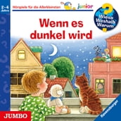 Wenn es dunkel wird [Wieso? Weshalb? Warum? JUNIOR Folge 28]