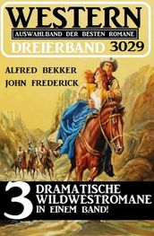Western Dreierband 3029