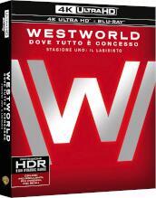 Westworld - Stagione 01 (3 4K Ultra Hd+3 Blu Ray)