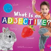 What Is an Adjective?