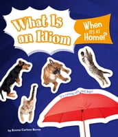 What Is an Idiom When It s at Home?