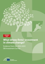 What drives firms  investment in climate action?