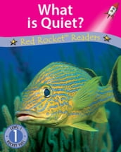 What is Quiet?