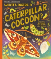 What s Inside a Caterpillar Cocoon?