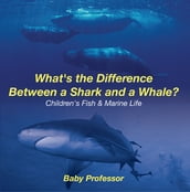 What s the Difference Between a Shark and a Whale?   Children s Fish & Marine Life