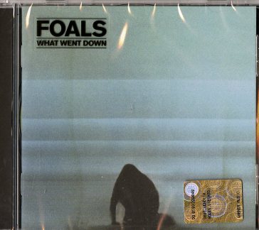 What went down - Foals