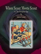 When Scout Meets Scout
