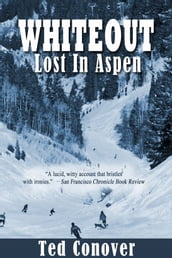 Whiteout: Lost In Aspen