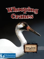 Whooping Cranes