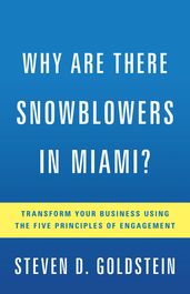 Why Are There Snowblowers in Miami?